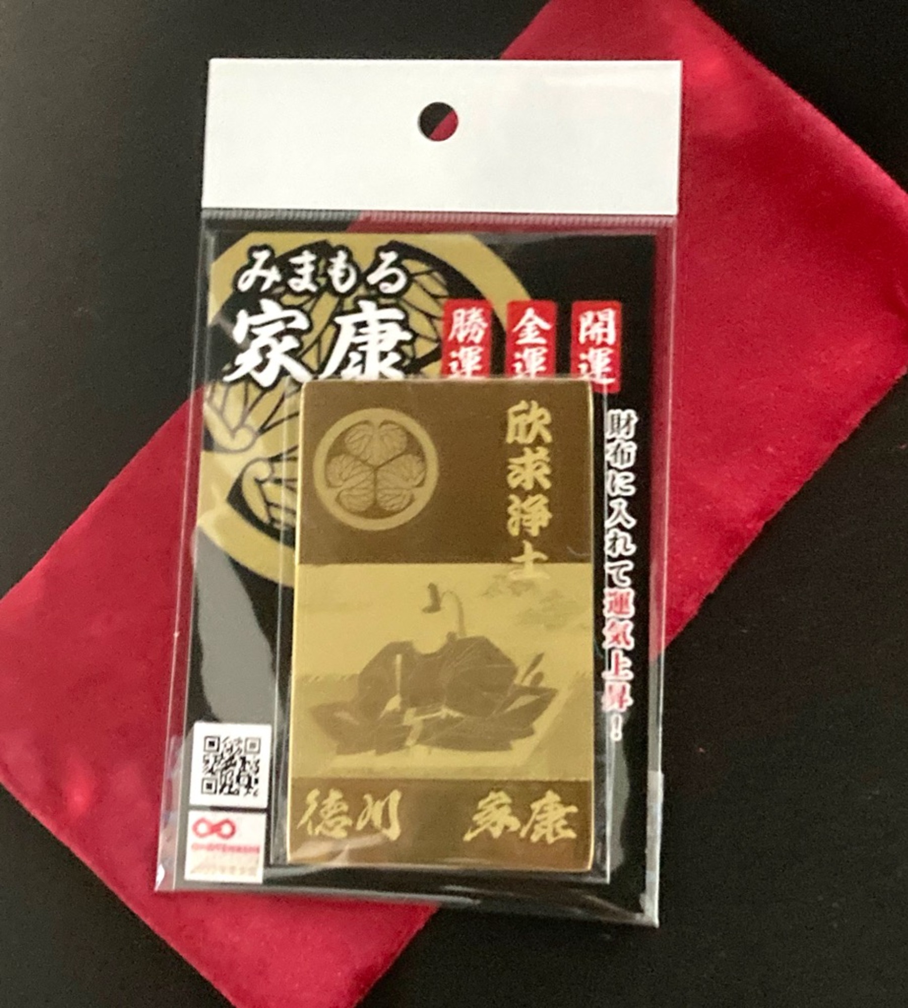 みまもる家康(欣求浄土)