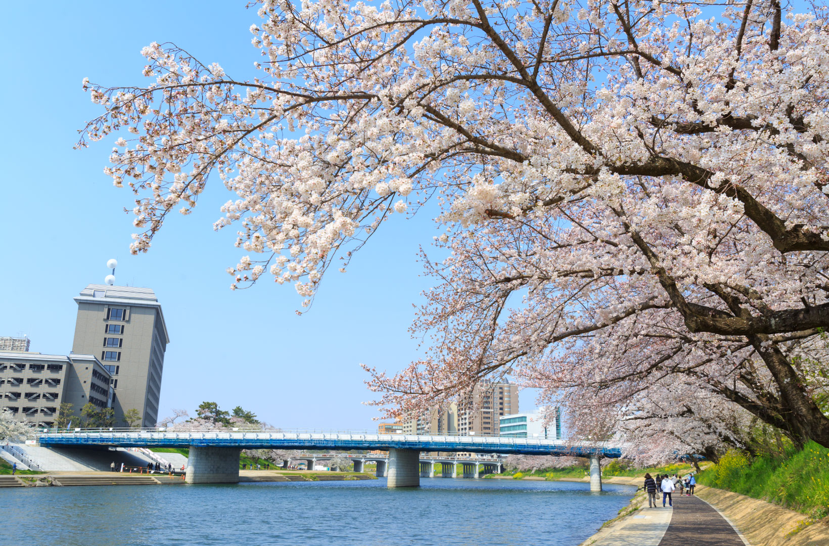 おかふるのコンセプト